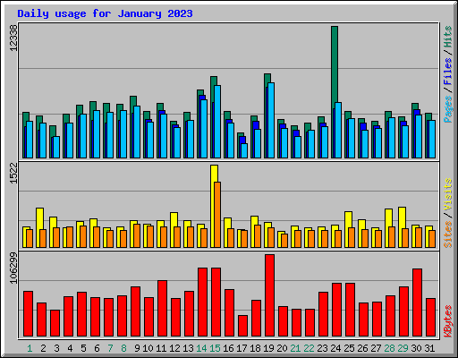 Daily usage for January 2023