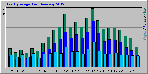 Hourly usage for January 2019