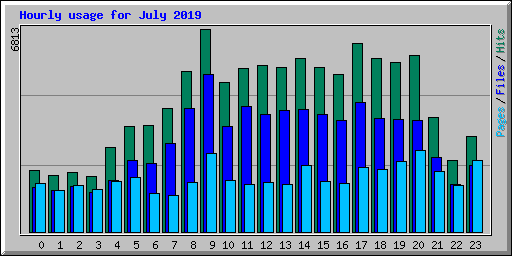 Hourly usage for July 2019