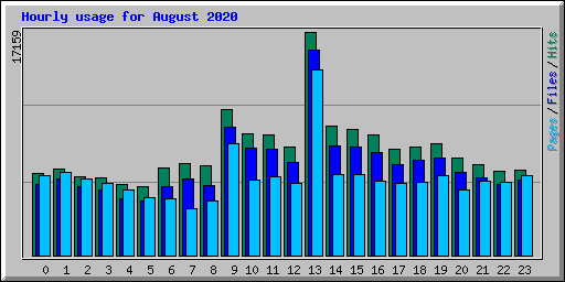 Hourly usage for August 2020