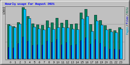 Hourly usage for August 2021