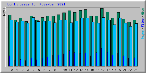 Hourly usage for November 2021