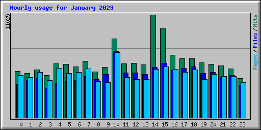 Hourly usage for January 2023
