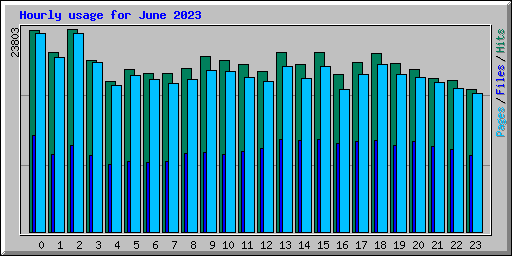Hourly usage for June 2023