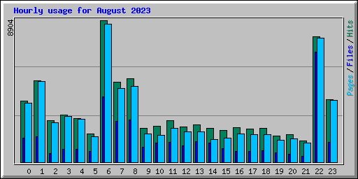 Hourly usage for August 2023
